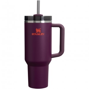 Stanley Adventure Quencher H2.0 Travel Tumbler | 40 oz Plum | 675908SMN