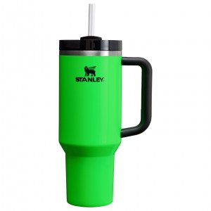 Stanley Adventure Quencher H2.0 Travel Tumbler | 40 oz Vert | 529348WQV