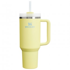 Stanley Adventure Quencher H2.0 Travel Tumbler | 40 oz Pomelo | 930684EJX