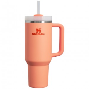 Stanley Adventure Quencher H2.0 Travel Tumbler | 40 oz Nectarine | 912786CDN