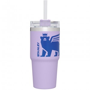 Stanley Adventure Quencher Travel Tumbler | 14 OZ Lavande | 950617WZC