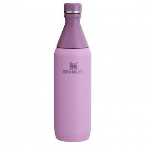 Stanley All Day Slim Bottle | 20 OZ Lilac | 347052XJC
