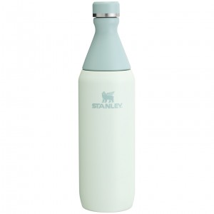 Stanley All Day Slim Bottle | 20 OZ Mist | 216378ICF