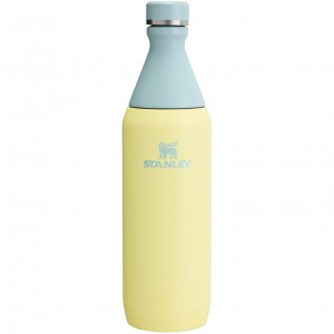 Stanley All Day Slim Bottle | 20 OZ Pomelo | 367541QEM