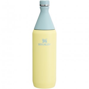 Stanley All Day Slim Bottle | 34 OZ Pomelo | 094516GCY