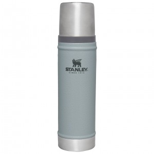 Stanley Classic Legendary Vacuum Insulated Water Bottle | 20 oz Argent | 839564XYV