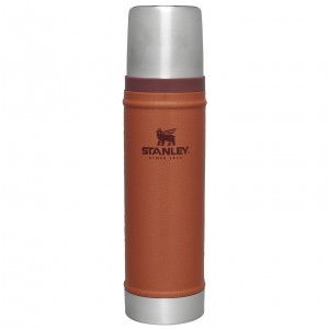 Stanley Classic Legendary Vacuum Insulated Water Bottle | 20 oz Hammertone Clay | 137085GVN