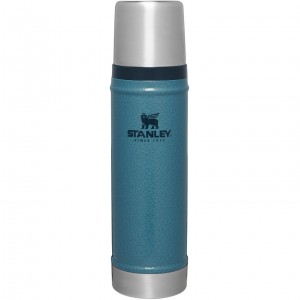 Stanley Classic Legendary Vacuum Insulated Water Bottle | 20 oz Hammertone Lake | 308627LGN