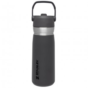 Stanley Go Flip Straw Water Bottle | 22 OZ | Insulated Bottle Charcoal | 631942OFX