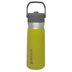 Stanley Go Flip Straw Water Bottle | 22 OZ | Insulated Bottle Aloe | 049317UGY