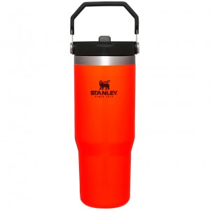 Stanley Hunt + Fish IceFlow™ Flip Straw Tumbler | 30 OZ Orange | 854697VSP