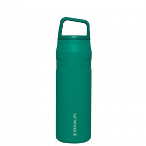 Stanley IceFlow™ Bottle with Cap and Carry+ Lid | 24 OZ Alpine | 758691SVT