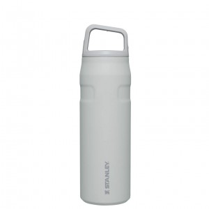 Stanley IceFlow™ Bottle with Cap and Carry+ Lid | 24 OZ Fog Glimmer | 392564ZIF