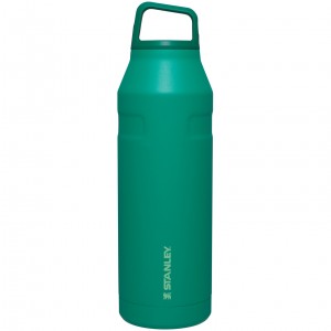 Stanley IceFlow™ Bottle with Cap and Carry+ Lid | 50 OZ Alpine | 617083JFN