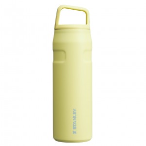 Stanley IceFlow™ Bottle with Cap and Carry+ Lid | 24 OZ Pomelo | 386950CPS