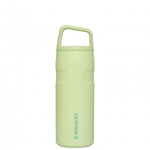Stanley IceFlow™ Bottle with Cap and Carry+ Lid | 16 OZ Citron | 160547JAZ