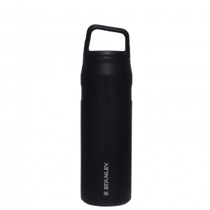 Stanley IceFlow™ Bottle with Cap and Carry+ Lid | 24 OZ Noir | 261538FGO