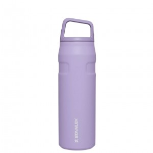 Stanley IceFlow™ Bottle with Cap and Carry+ Lid | 24 OZ Lavande | 673841XTD