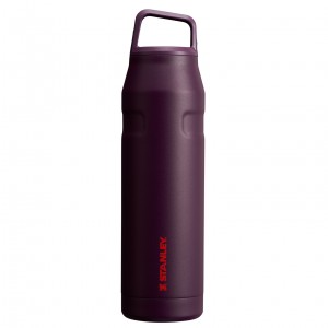 Stanley IceFlow™ Bottle with Cap and Carry+ Lid | 36 OZ Plum | 316584OBI
