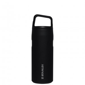 Stanley IceFlow™ Bottle with Cap and Carry+ Lid | 16 OZ Noir | 542879VDK