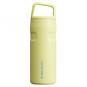 Stanley IceFlow™ Bottle with Cap and Carry+ Lid | 16 OZ Pomelo | 903246OAF