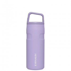 Stanley IceFlow™ Bottle with Cap and Carry+ Lid | 16 OZ Lavande | 619285XAF