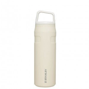 Stanley IceFlow™ Bottle with Cap and Carry+ Lid | 24 OZ Blanche | 908126LSW