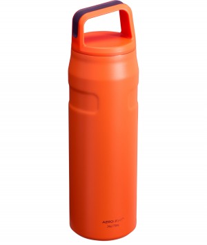 Stanley IceFlow™ Bottle with Cap and Carry+ Lid | 24 OZ Tigerlily Plum | 278506GLS