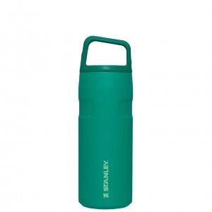 Stanley IceFlow™ Bottle with Cap and Carry+ Lid | 16 OZ Alpine | 981265FSM