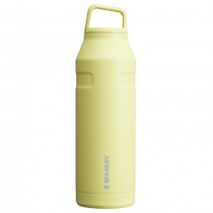 Stanley IceFlow™ Bottle with Cap and Carry+ Lid | 50 OZ Pomelo | 285907EOW