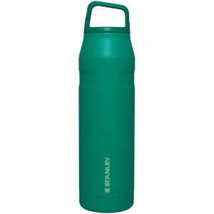 Stanley IceFlow™ Bottle with Cap and Carry+ Lid | 36 OZ Alpine | 265471UYV