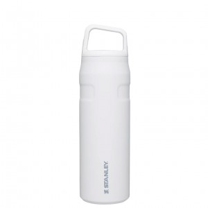 Stanley IceFlow™ Bottle with Cap and Carry+ Lid | 24 OZ Polar | 062985AJG