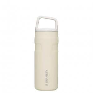 Stanley IceFlow™ Bottle with Cap and Carry+ Lid | 16 OZ Blanche | 452910JDZ