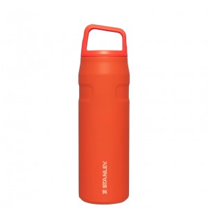 Stanley IceFlow™ Bottle with Cap and Carry+ Lid | 24 OZ Tigerlily | 264531ANH