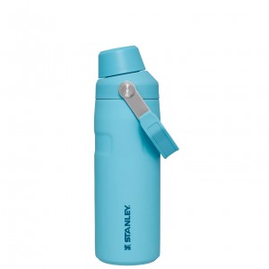 Stanley IceFlow™ Bottle with Fast Flow Lid | 16 OZ Pool | 817094CXE