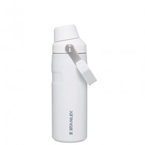 Stanley IceFlow™ Bottle with Fast Flow Lid | 16 OZ Polar | 247809ZUP