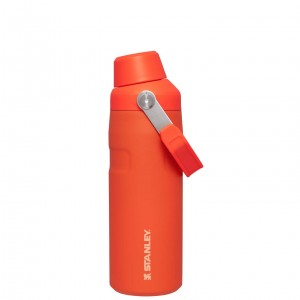 Stanley IceFlow™ Bottle with Fast Flow Lid | 16 OZ Tigerlily | 956874QIE