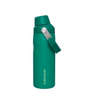 Stanley IceFlow™ Bottle with Fast Flow Lid | 16 OZ Alpine | 364152NMV