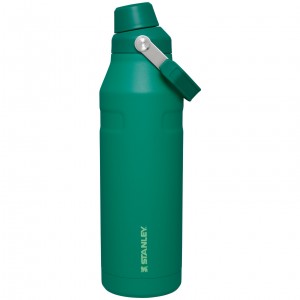 Stanley IceFlow™ Bottle with Fast Flow Lid | 50 OZ Alpine | 065294DSL