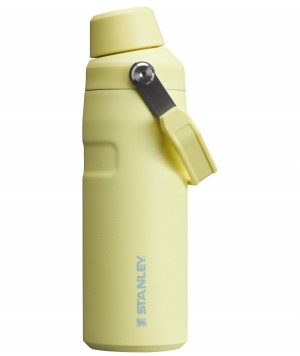 Stanley IceFlow™ Bottle with Fast Flow Lid | 16 OZ Pomelo | 794120VXZ