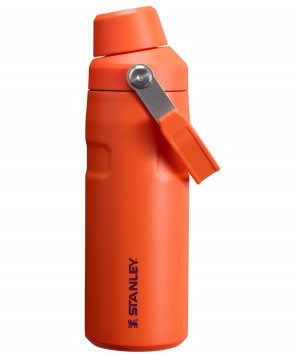 Stanley IceFlow™ Bottle with Fast Flow Lid | 16 OZ Tigerlily Plum | 902653KUR