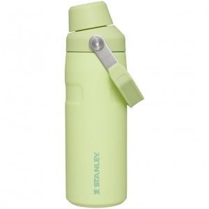 Stanley IceFlow™ Bottle with Fast Flow Lid | 16 OZ Citron | 016372FKW