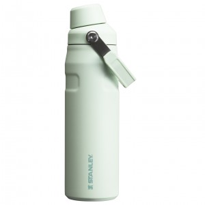 Stanley IceFlow Insulated Bottle with Fast Flow Lid | 24 OZ Mist | 895071YVA