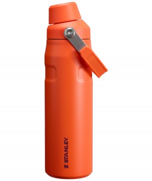 Stanley IceFlow Insulated Bottle with Fast Flow Lid | 24 OZ Tigerlily Plum | 936821TVE