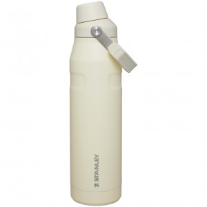 Stanley IceFlow Insulated Bottle with Fast Flow Lid | 36 OZ Blanche | 958314VPR