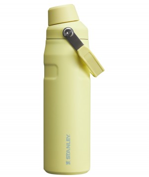 Stanley IceFlow Insulated Bottle with Fast Flow Lid | 24 OZ Pomelo | 371592GAU