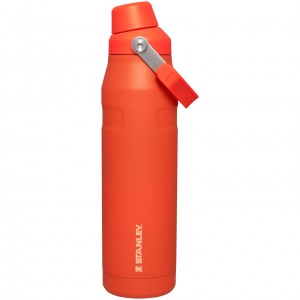 Stanley IceFlow Insulated Bottle with Fast Flow Lid | 36 OZ Tigerlily | 305271LJQ