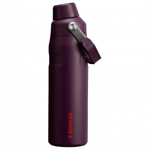 Stanley IceFlow Insulated Bottle with Fast Flow Lid | 24 OZ Plum | 753108LCP