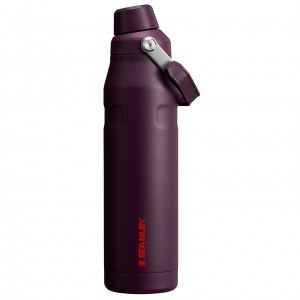 Stanley IceFlow Insulated Bottle with Fast Flow Lid | 36 OZ Plum | 538490TFU
