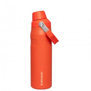 Stanley IceFlow Insulated Bottle with Fast Flow Lid | 24 OZ Tigerlily | 306572HUC